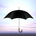 Umbrella Insurance in Bremerton, WA