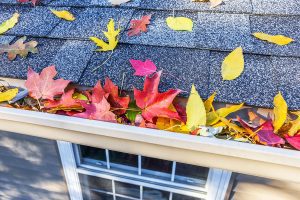 Fall Home Maintenance Checklist for your Bremerton, WA