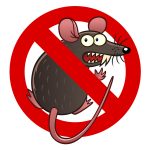 Rodent damage coverage for your car in Bremerton, WA
