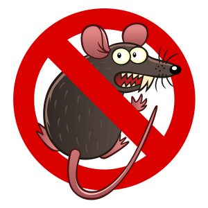 Rodent damage coverage for your car in Bremerton, WA