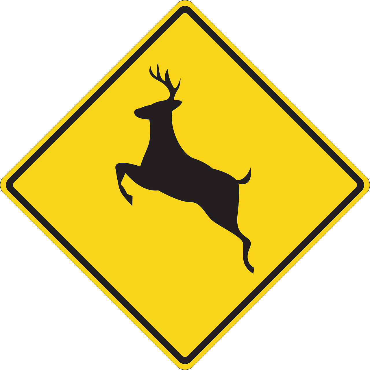 How to lower your risk for a deer collision