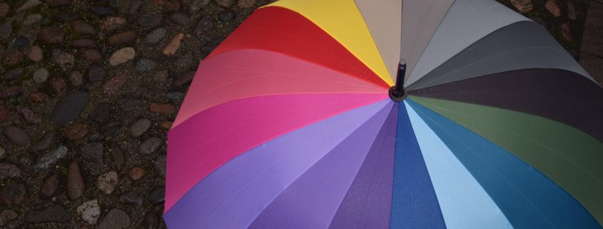 Personal Umbrella Insurance Bremerton, WA