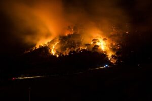 Wildfire Prevention Tips To Know and Follow